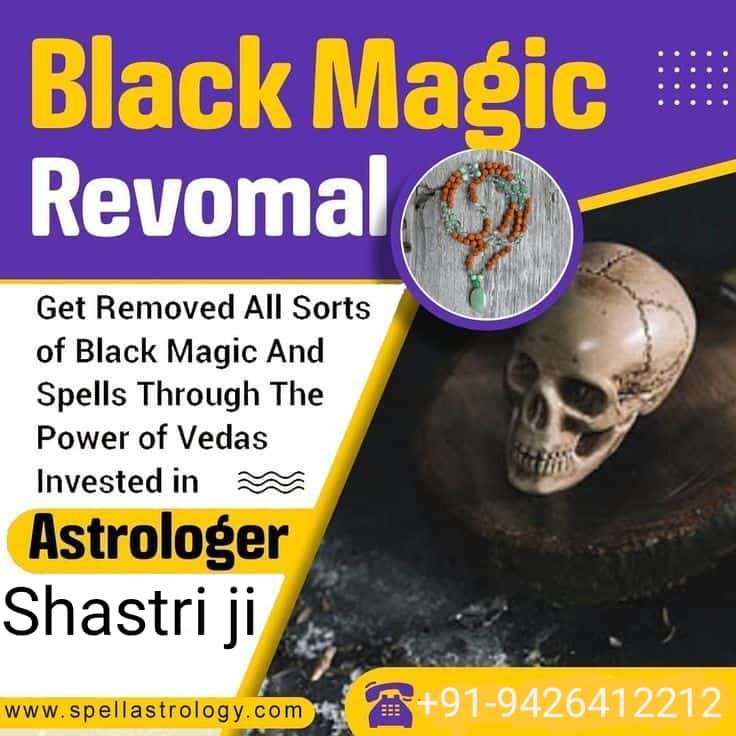 Astrologer Shastri Ji
