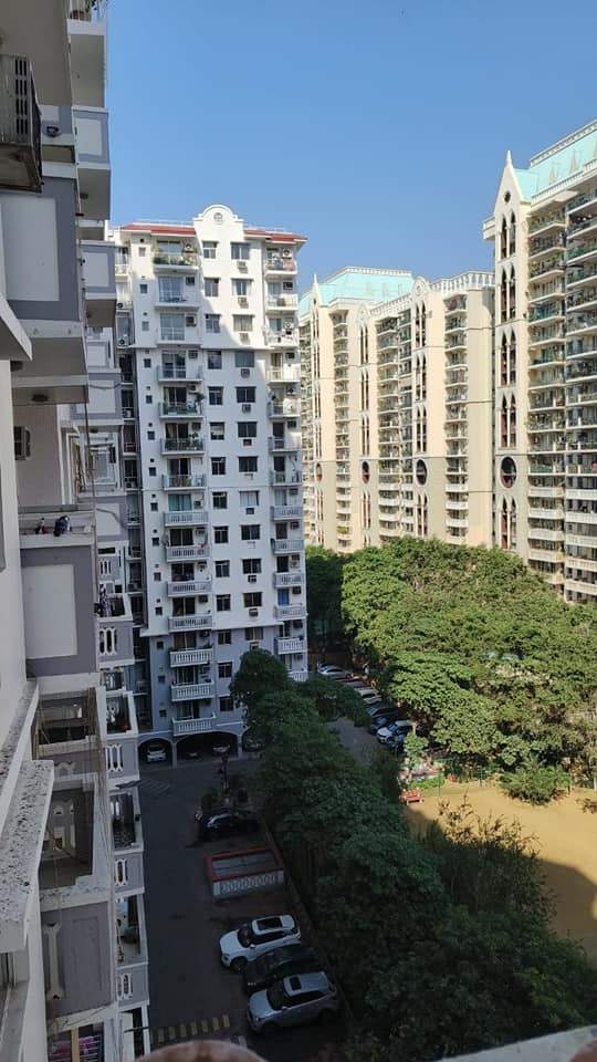 3 Bed/ 3 Bath Rent Apartment/ Flat, Furnished for rent @Carlton society DLF phase 5 Gurgaon