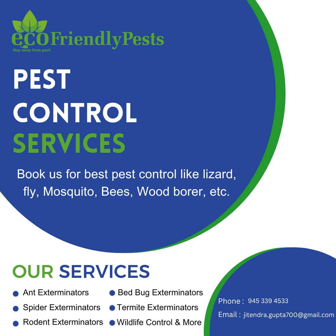 Pest Control Srvices