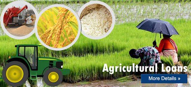 District Consultant for Agri Loan -- Coimbatore 