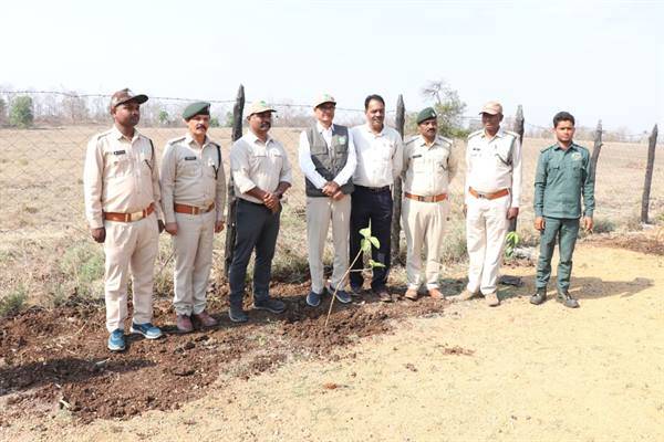 CM Shri Chouhan plants saplings in Satpura Tiger Reserve