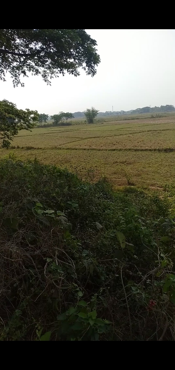 69,580 sq. ft. Sell Land/ Plot for sale @Cuttack - tangi 
