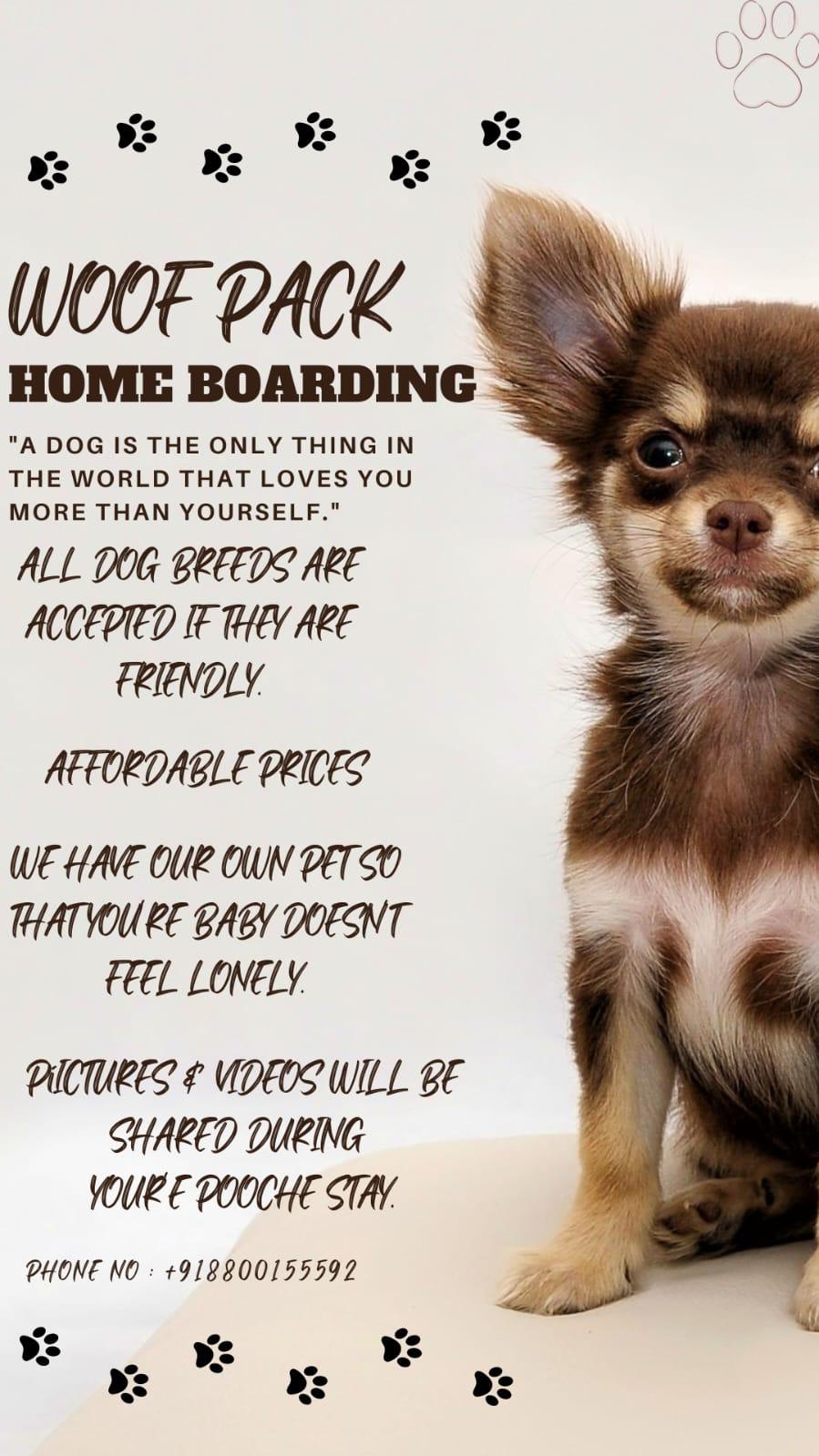 Woof Pack home Boarding for dogs