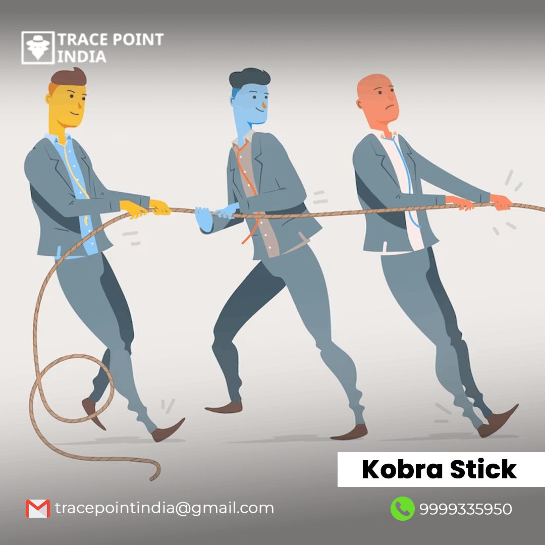 Acquire the Quality Kobra Stick by Trace Point India and Secure Your Privacy with Ease