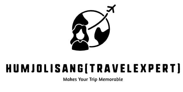 Cruise Tours, Flight Tickets, Honeymoon Packages, International Tour, Pilgrimage Tour; Exp: Some experience (0-1 years)