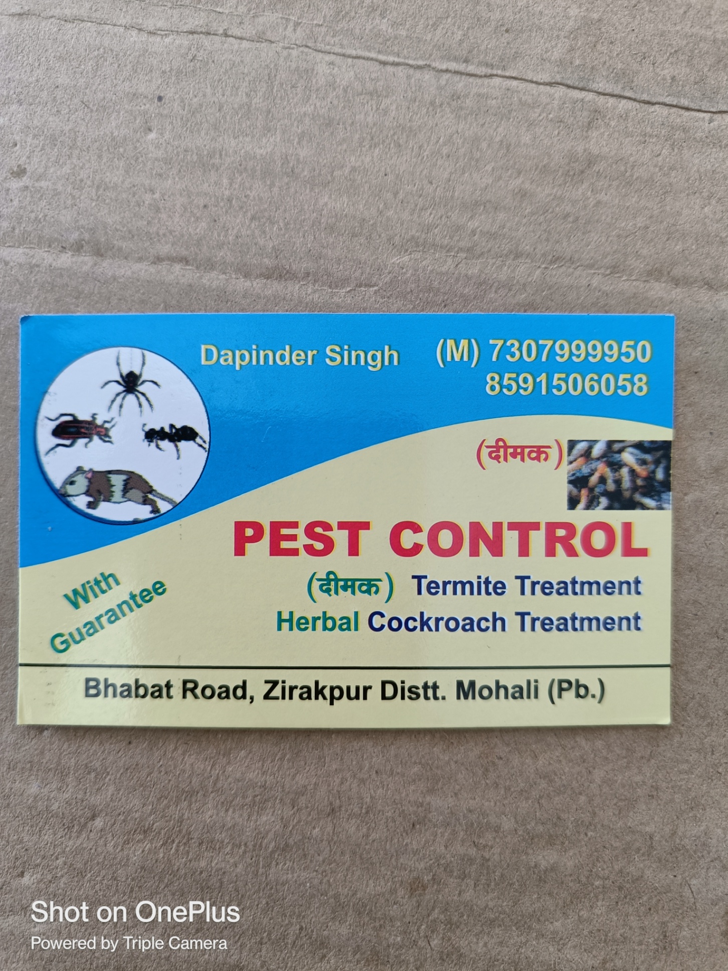 Pest control services 