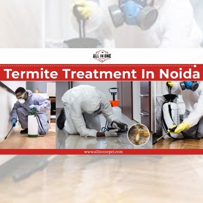Termite Treatment in Noida                    