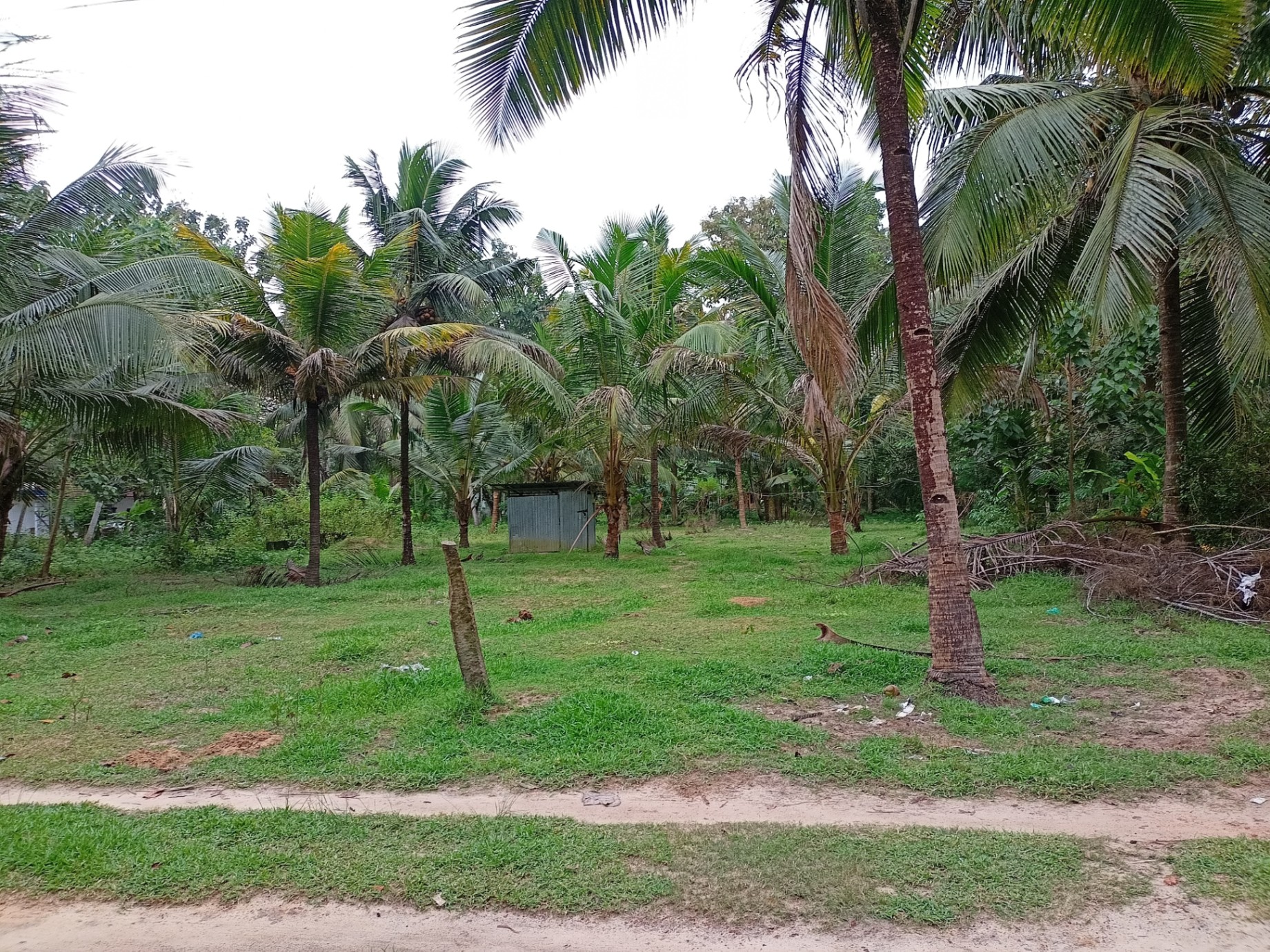 11,475 sq. ft. Sell Land/ Plot for sale