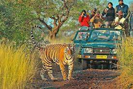 My Rajasthan Trip-Jhalana leopard safari booking 