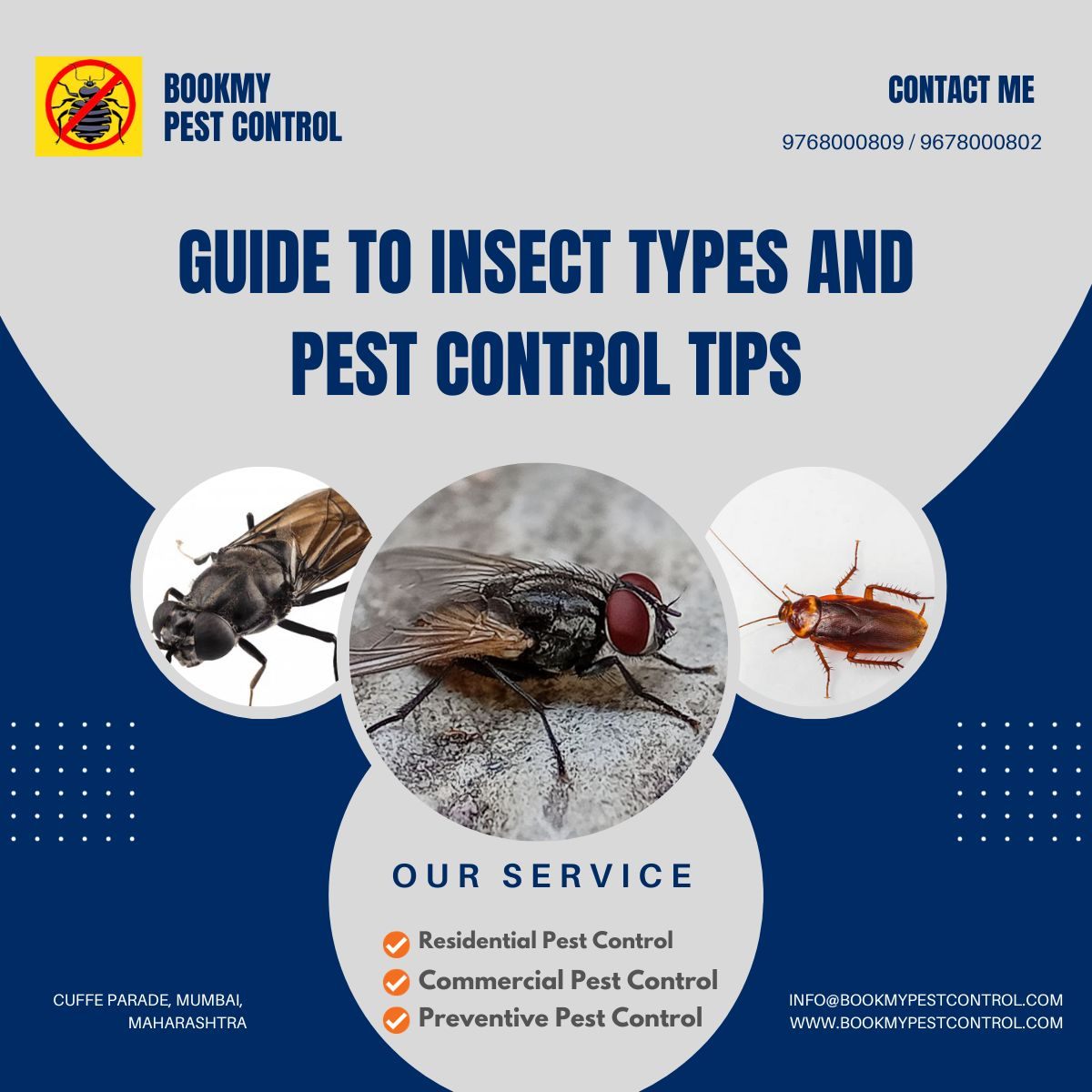 Your Ultimate Guide to Insect Types and Pest Control Tips: Explore BookMyPestControl.com