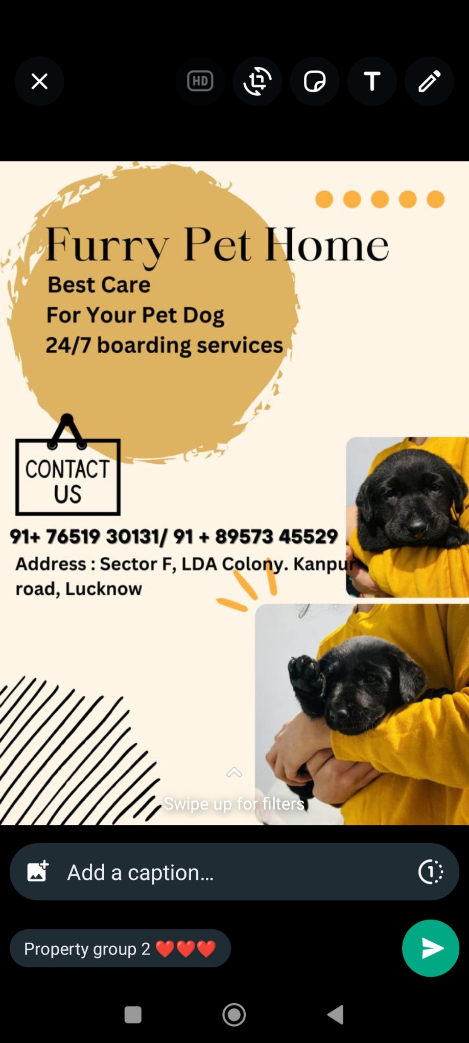 Furry pet For dog boarding and hostel 