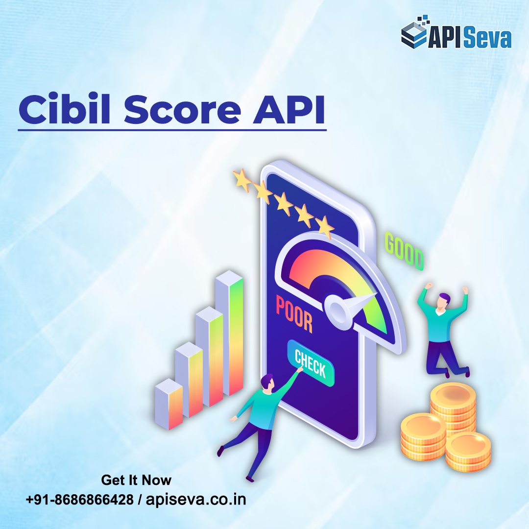 Online Cibil Report Check API Provider Company