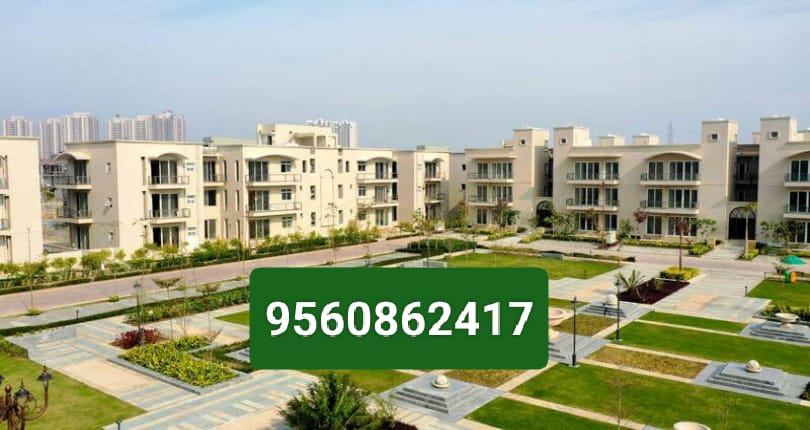 4 Bed/ 4 Bath Sell House/ Bungalow/ Villa; 4,200 sq. ft. carpet area; 4,455 sq. ft. lot for sale @BPTP AMSTORIA, Sector 102, Dwarka Expressway, Gurgaon
