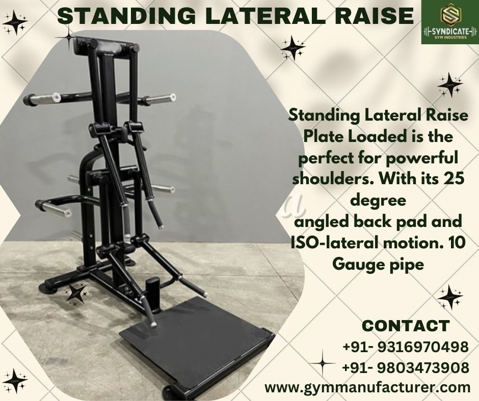 Standing Lateral Raise 