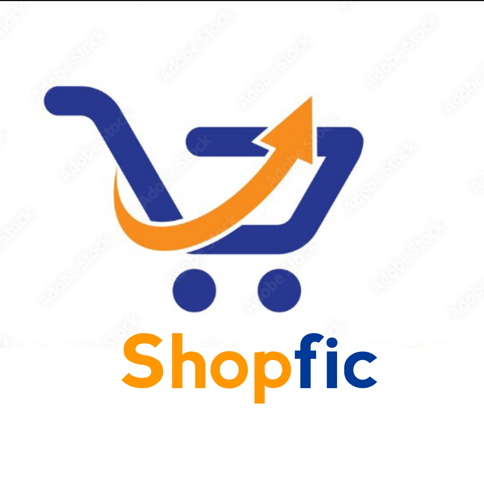 Best e-commerce store