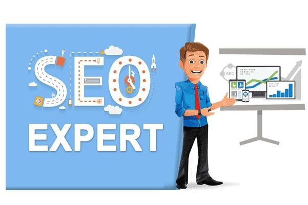 Hire a Dedicated SEO Expert for Tailored Digital Marketing Solutions