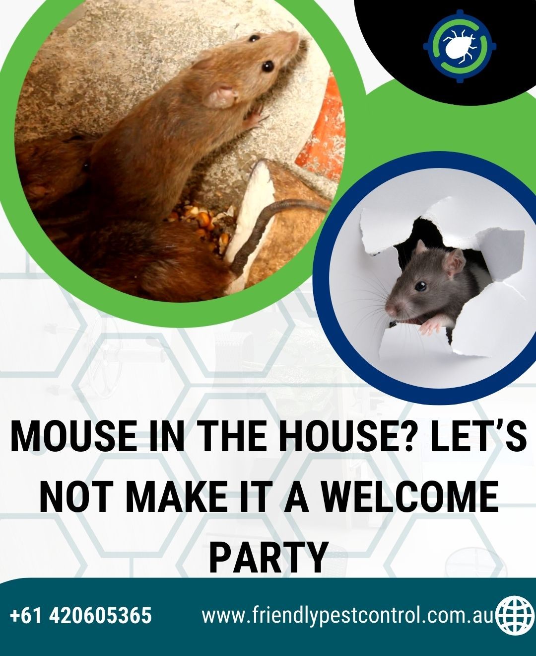 Rodent Control service in Melbourne