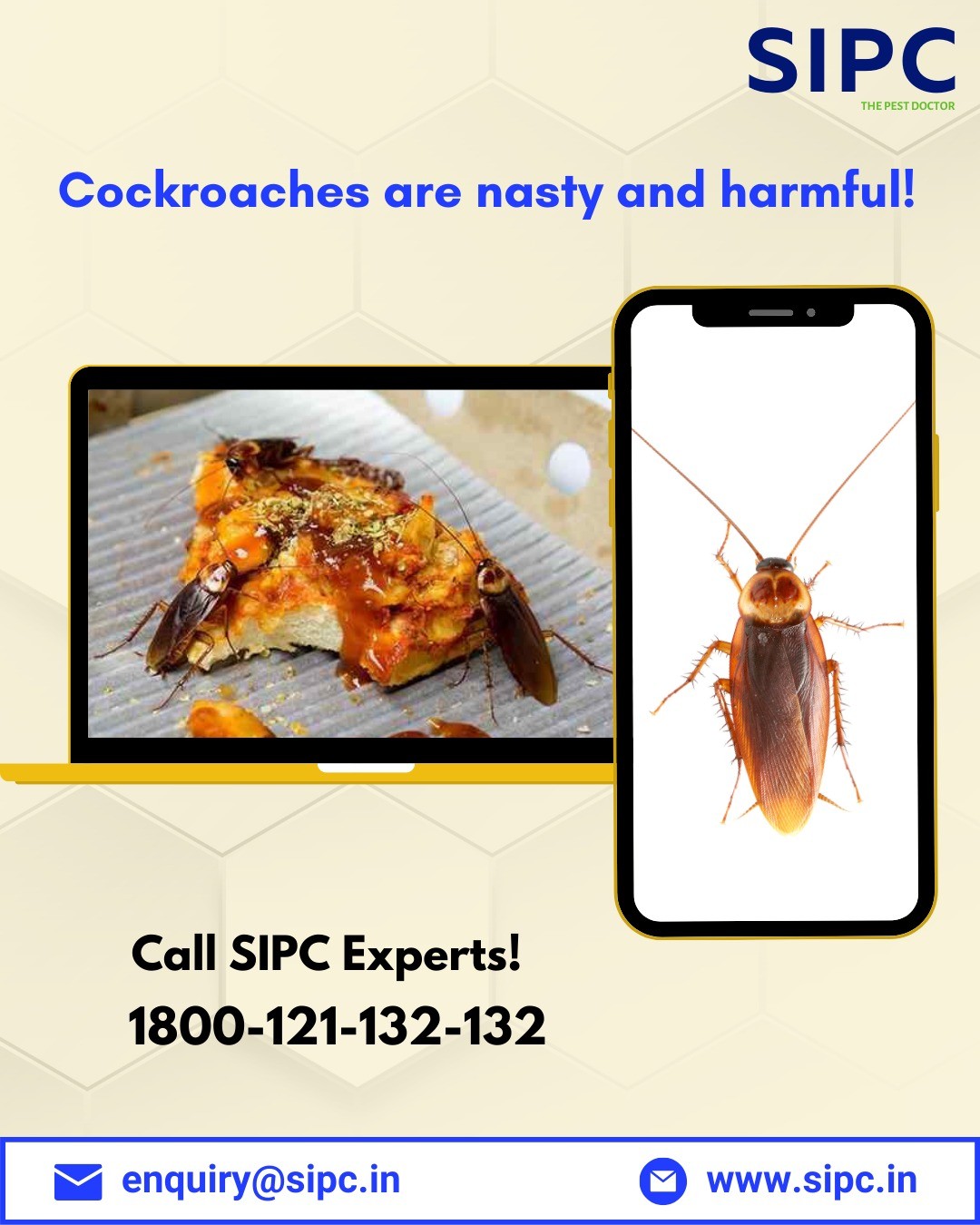 Cockroach Control Service in Hyderabad