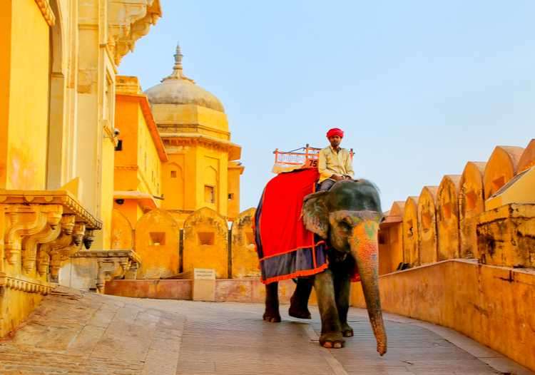  Elephant Ride in Jaipur-My Rajasthan Trip