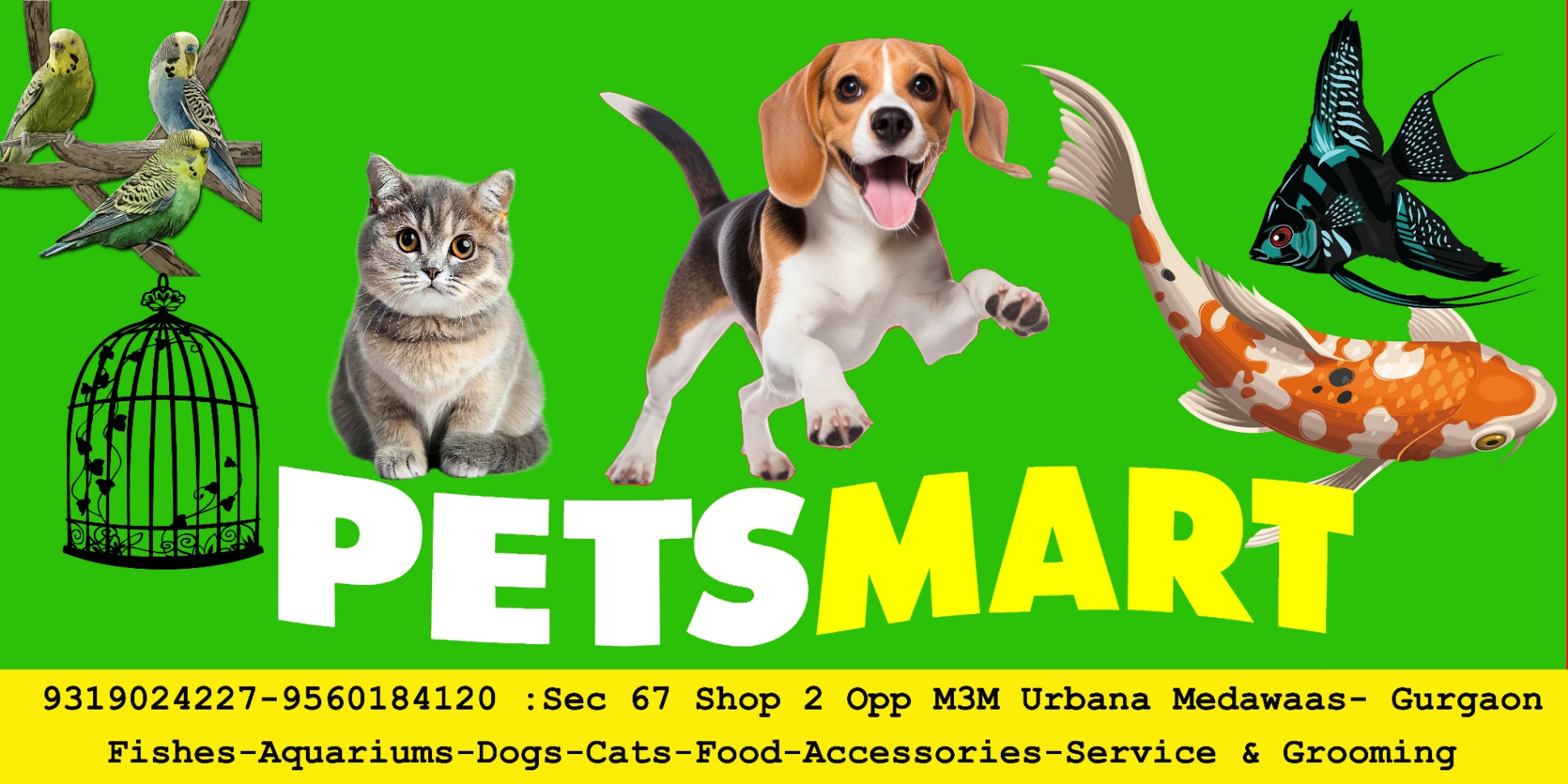 Pet shop Sector 64 guragon