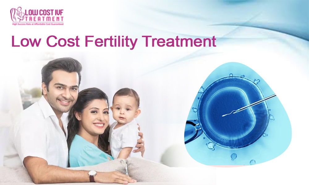 Best Low Cost Fertility Treatment in India - Lowcostivftreatment