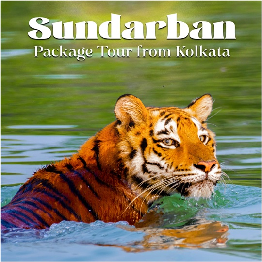Hotel Sonar Bangla Sundarban Package Tour: Your Gateway to Adventure