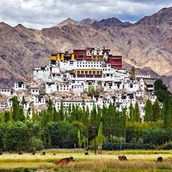 Amazing Leh Ladakh Tour Packages from Manali - NatureWings Holidays