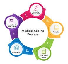 Medical coding  Training Online  Low Fee