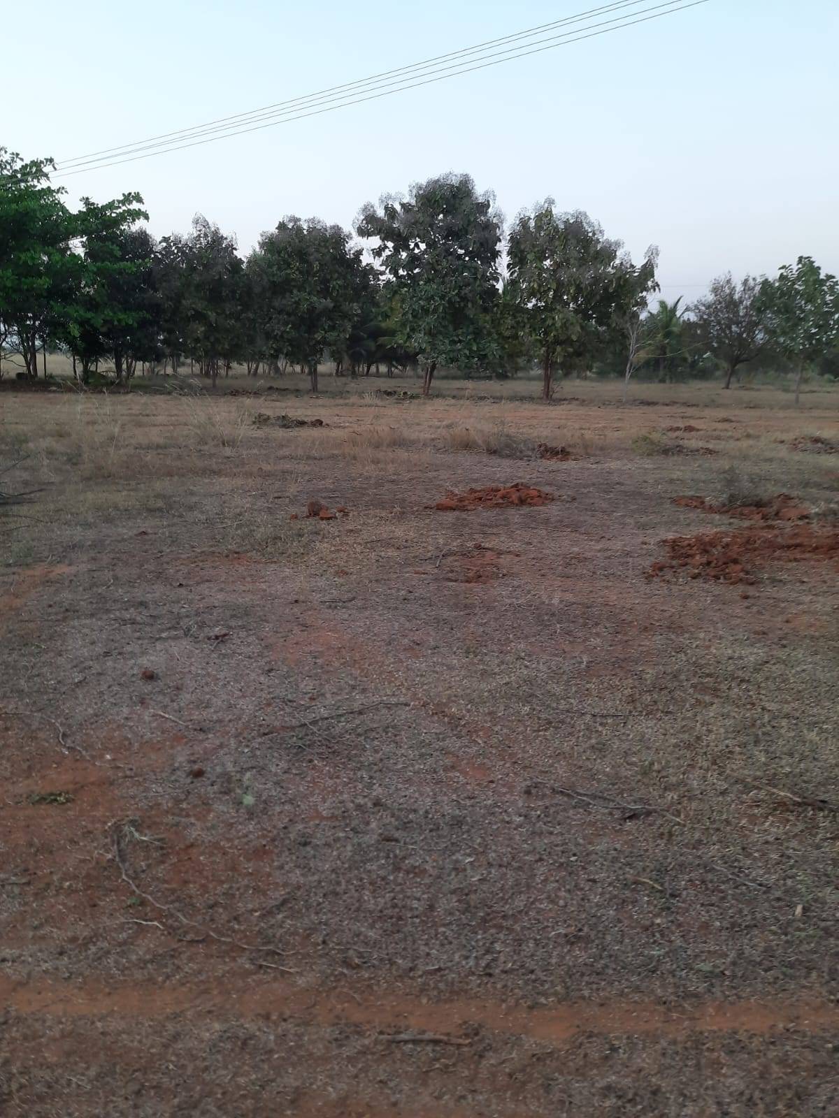 4,35,600 sq. ft. Sell Land/ Plot for sale @Indalur