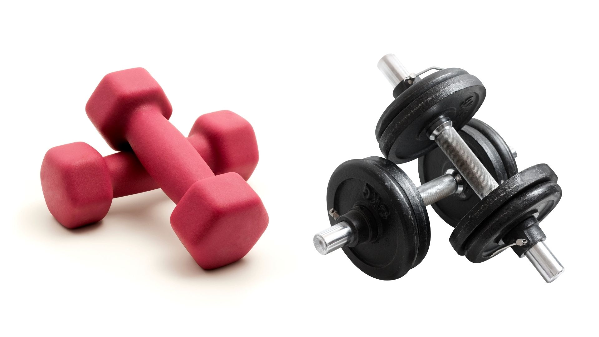 Dumbbells and Barbells on sale